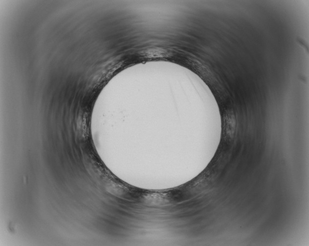 X0000102250422200808221357