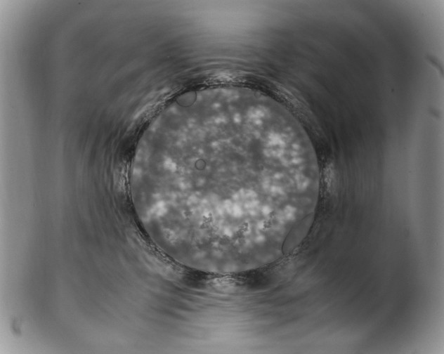 X0000102250423200808221357