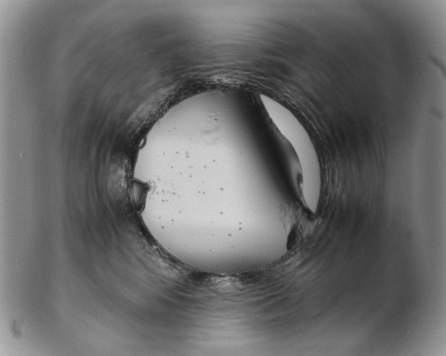 X0000102250424200808221357