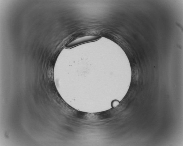 X0000102250425200808221357