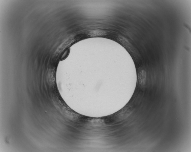 X0000102250426200808221357