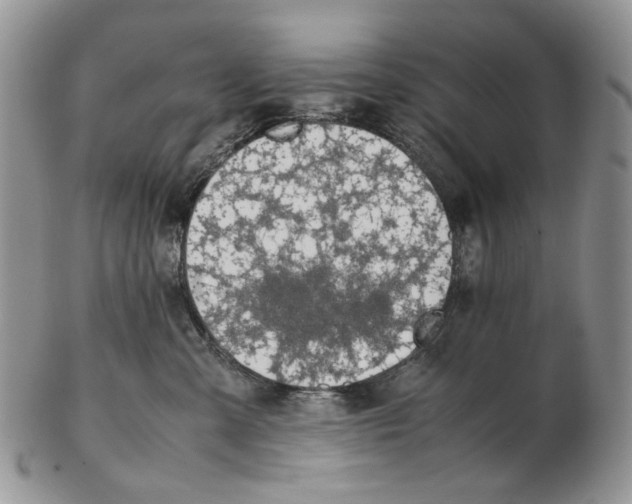 X0000102250427200808221357