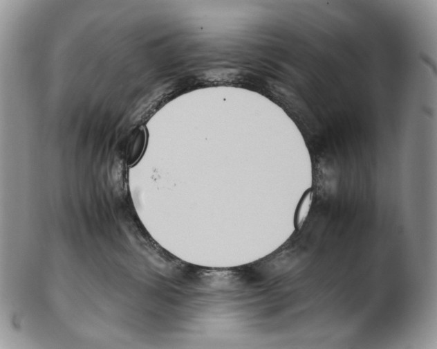 X0000102250428200808221357