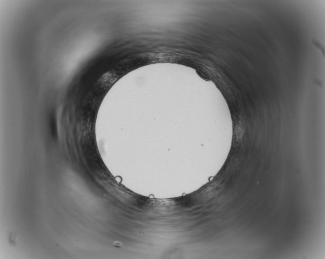X0000102250429200808221357