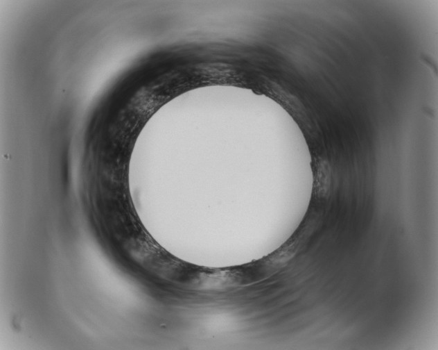 X0000102250430200808221357