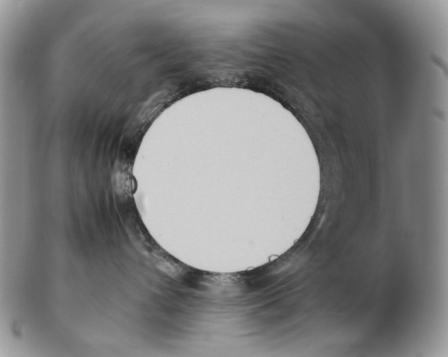 X0000102250432200808221357