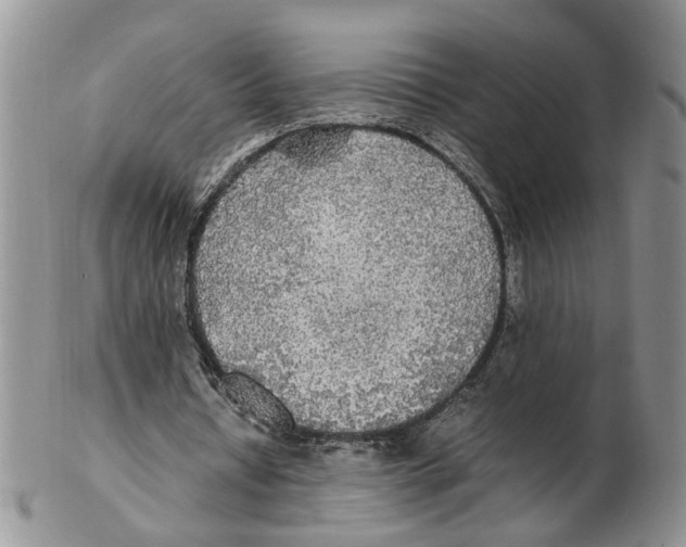 X0000102250434200808221356