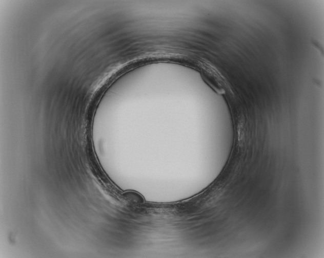 X0000102250436200808221356