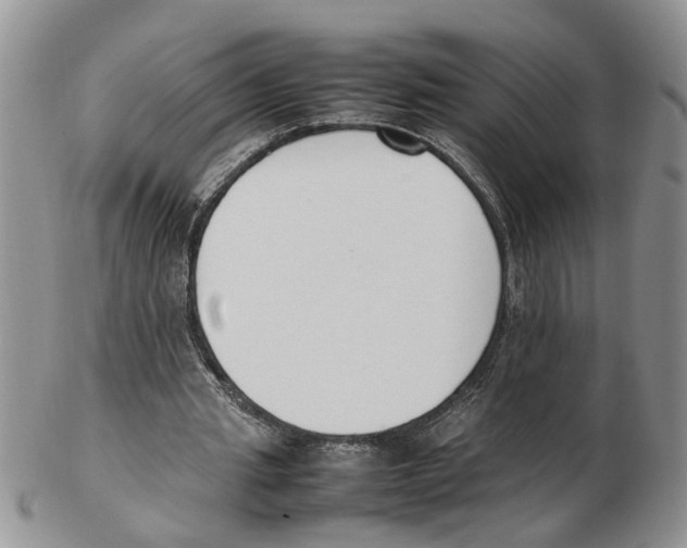 X0000102250437200808221356