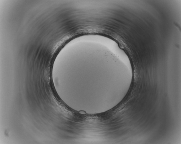 X0000102250438200808221356
