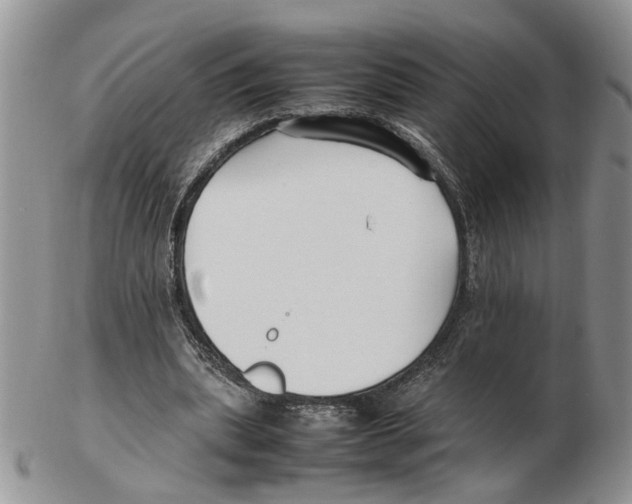 X0000102250439200808221356