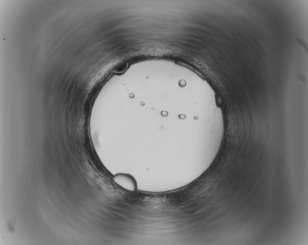 X0000102250440200808221356