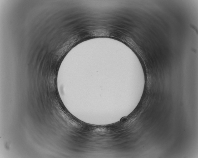 X0000102250441200808221356