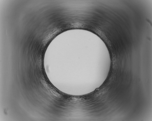 X0000102250442200808221356