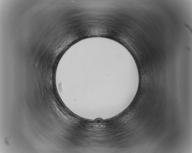 X0000102250443200808221356