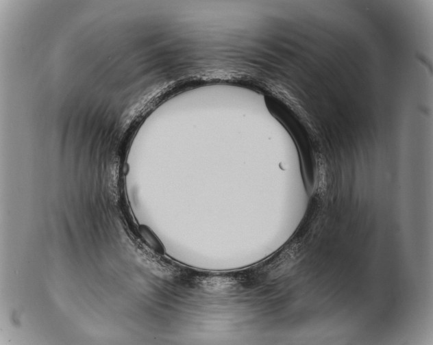 X0000102250444200808221356