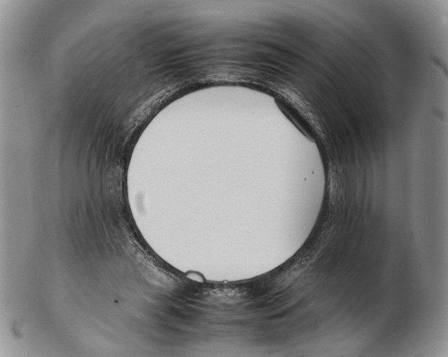 X0000102250445200808221356