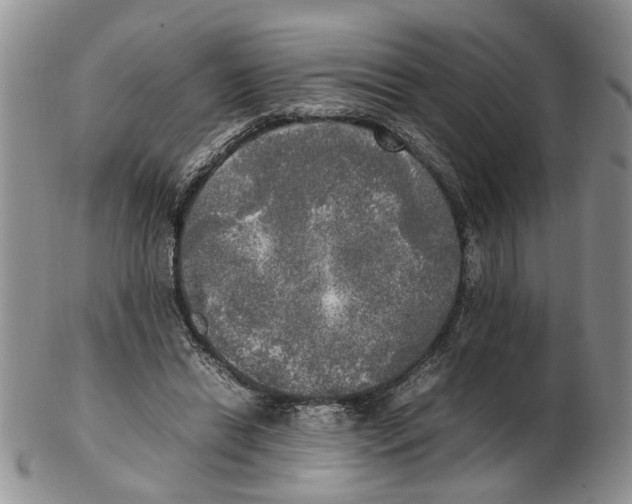 X0000102250446200808221356