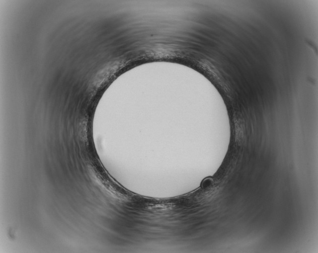 X0000102250447200808221356