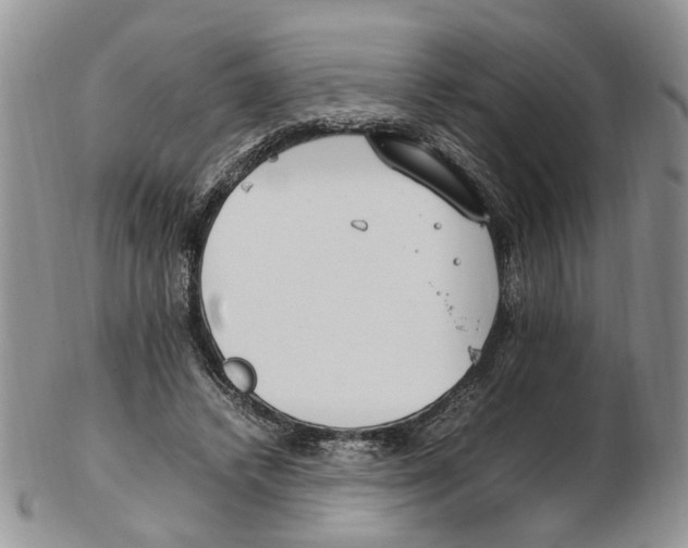X0000102250448200808221356