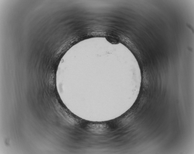 X0000102250449200808221356