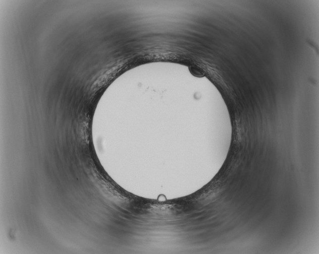 X0000102250450200808221356