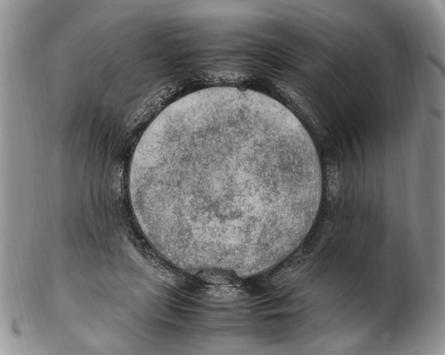 X0000102250451200808221356