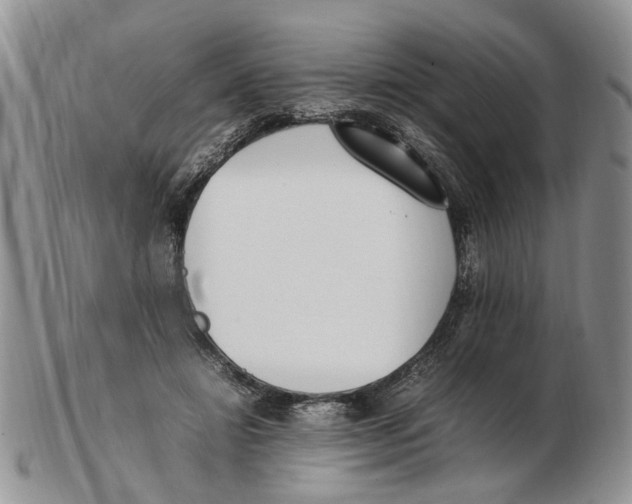 X0000102250452200808221356