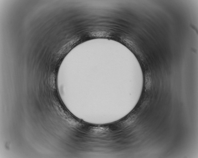 X0000102250453200808221356