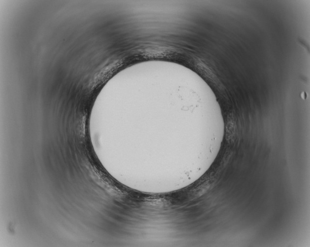 X0000102250454200808221356