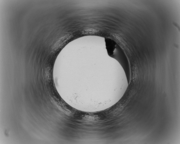 X0000102250455200808221356