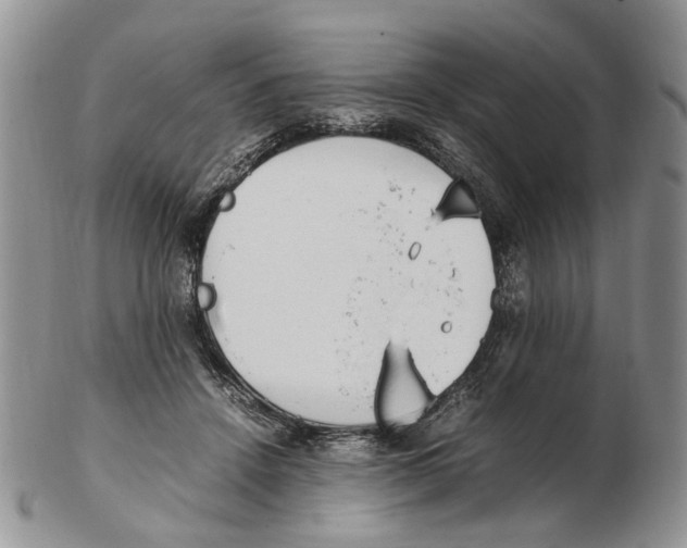 X0000102250456200808221356