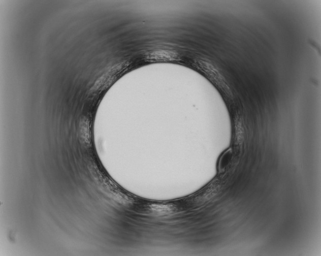 X0000102250457200808221356