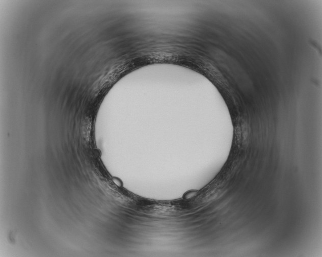 X0000102250458200808221356