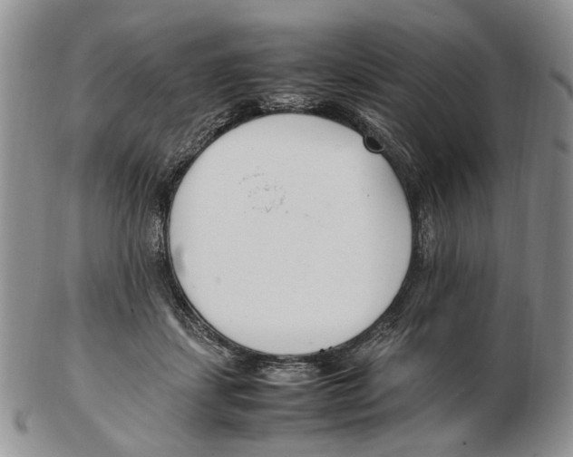 X0000102250459200808221356