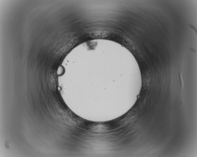 X0000102250460200808221356
