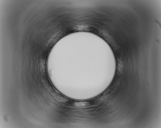 X0000102250461200808221356