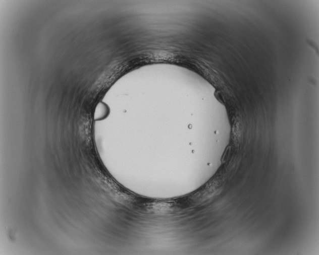 X0000102250462200808221357