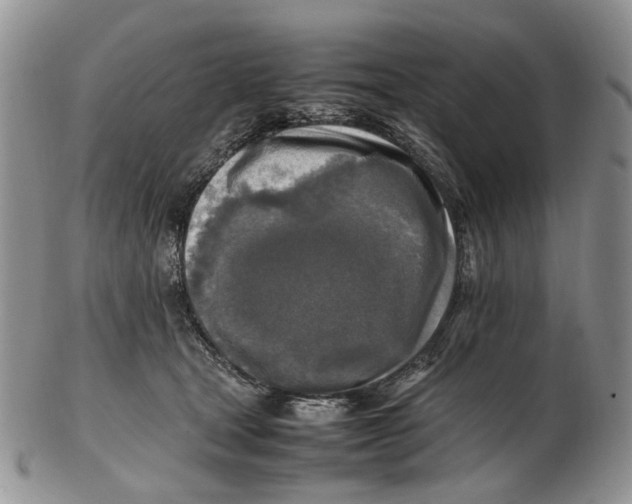 X0000102250465200808221357