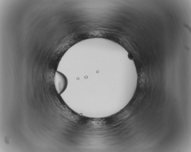 X0000102250466200808221357