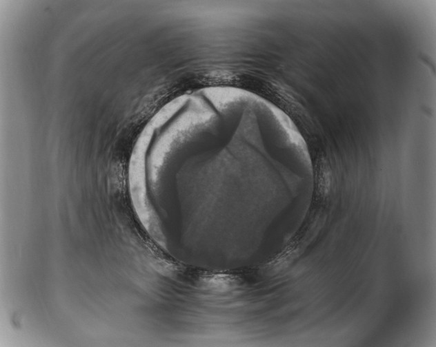 X0000102250467200808221357