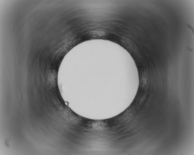 X0000102250468200808221357