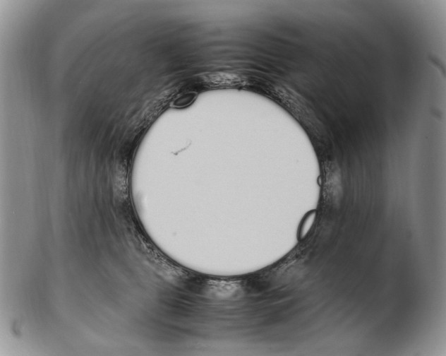 X0000102250469200808221357