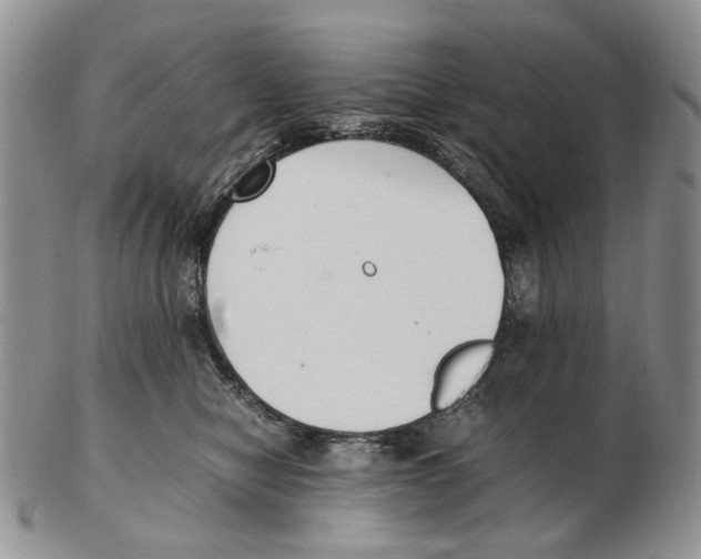 X0000102250470200808221357