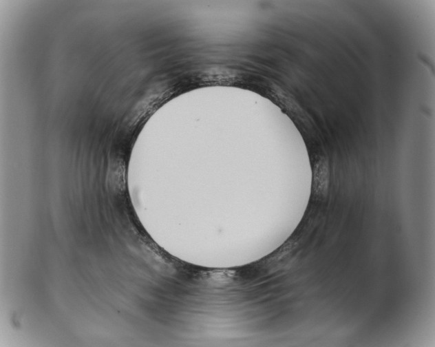 X0000102250474200808221357