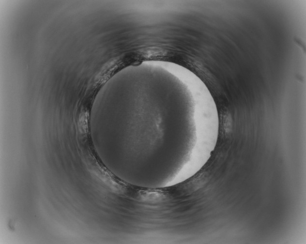 X0000102250475200808221357