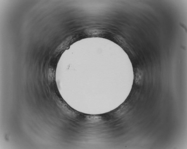 X0000102250476200808221357