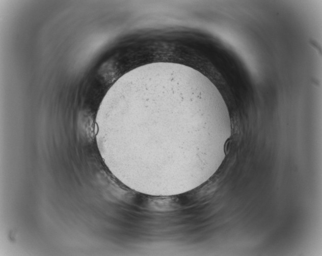 X0000102250479200808221357