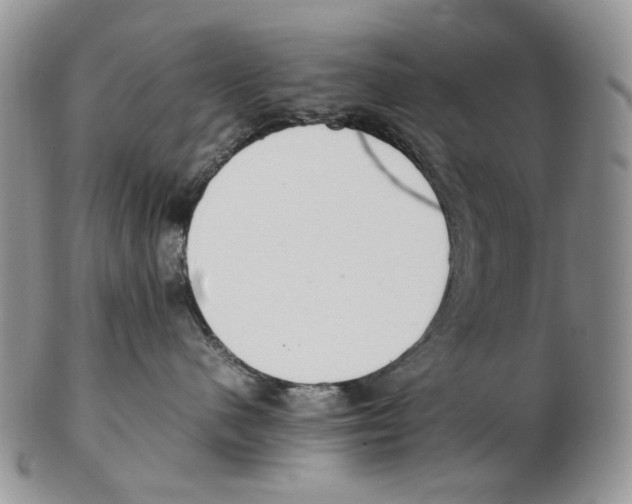 X0000102250480200808221357