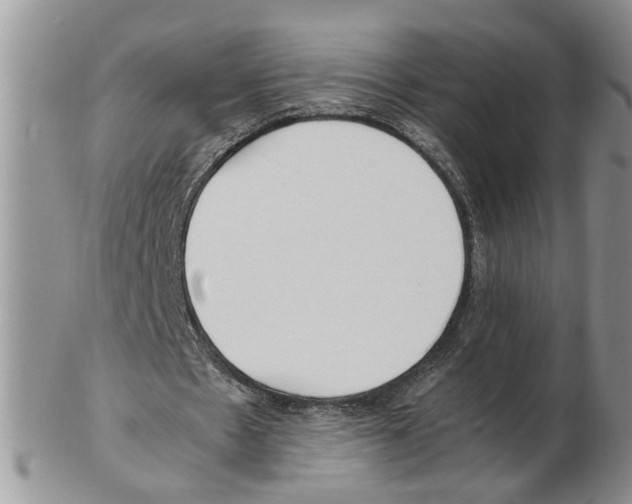 X0000102250481200808221356